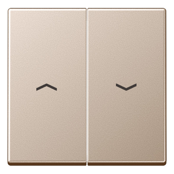 Клавиша для жалюзийного выключателя Jung А-СЕРИЯ, шампань, A595PCH