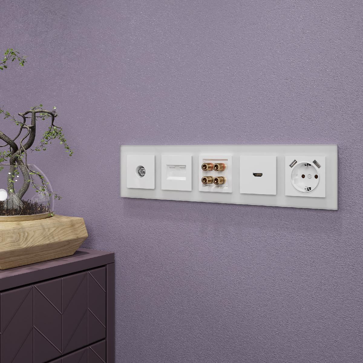 Рамка из стекла на 5 постов Favorit белый матовый W0051105