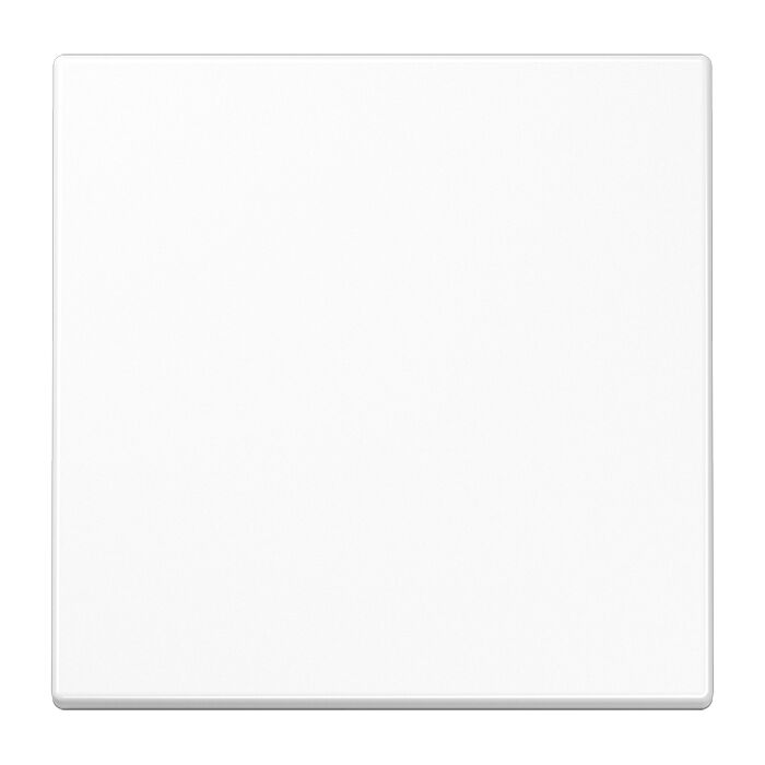 Розетка Jung LS 990, скрытый монтаж, с заземлением, , белый, LS520KLWW