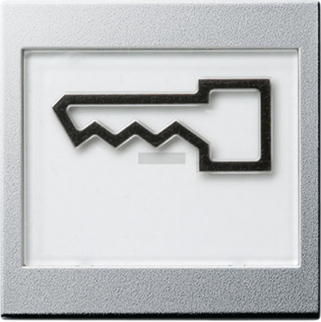 Gira Клавиша с полем для надписи 37*47 мм  и символом "дверь"